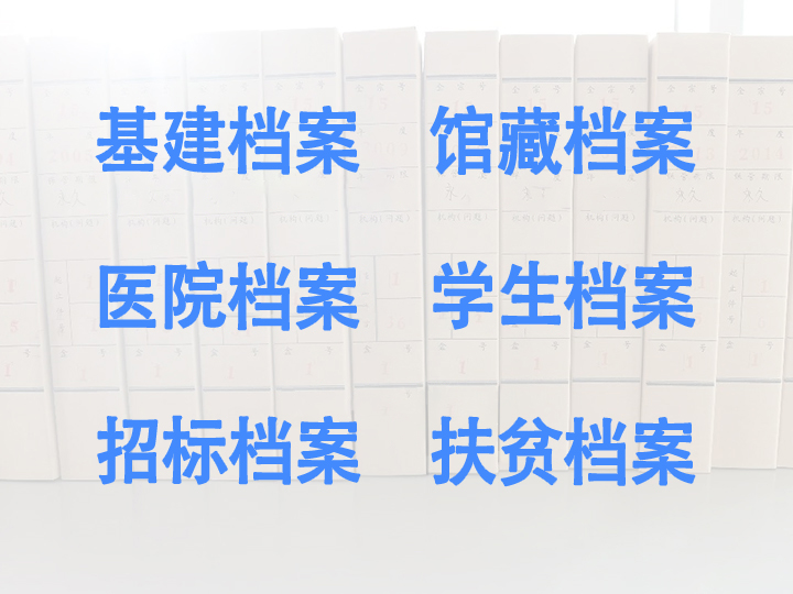 其他專門檔案
